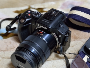 Rent: Panasonic Lumix G Vario 45-150mm f/4-5.6 ASPH. MEGA O.I.S. L