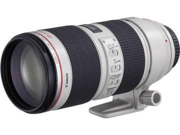 Rent: Canon EF 70-200mm f/2.8 L