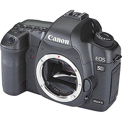 Canon EOS 5D mark II cfカード、バッテリー2つ付 Rent a Canon EOS 5D Mark II Package (Batteries, CF Cards, Reader