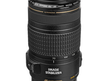 Rent: Canon EF 70-300mm f/4-5.6 IS USM Lens