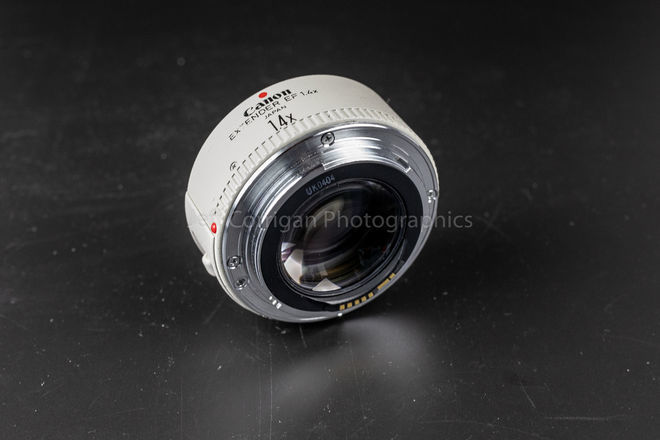 Rent A Canon Extender Ef 1 4x Best Prices Sharegrid San Diego Ca