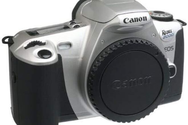 24mm camera film