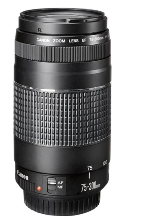 Rent A Canon Ef 75 300mm F 4 5 6 Iii Telephoto Zoom Lens Best Prices Sharegrid Atlanta Ga