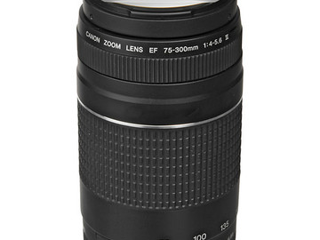 Rent: Canon EF 75mm-300mm lens