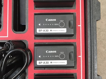 Rent: Canon C300 Mark II Battery Kit