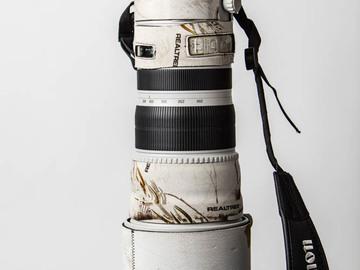 Rent: Canon 200-400 f4