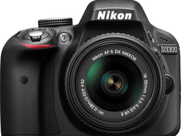 Rent: Nikon d33