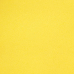 Allan Deleongonzalez