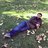 Nima Shoghi