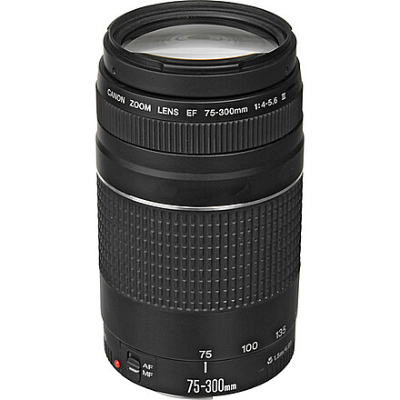 Rent a Canon EF 75-300mm f/4-5.6 III Telephoto Zoom Lens, Best