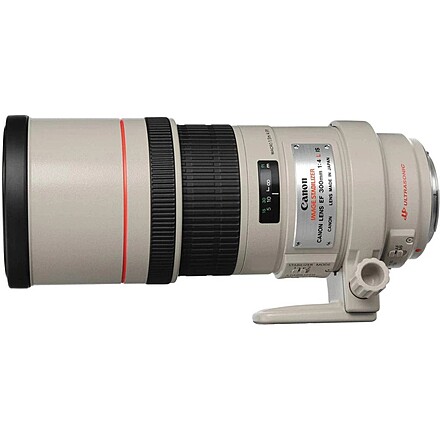 Canon EF 300mm 1:4 L ウルトラソニック Canon EF 300mm f/4 L IS USM Lens for sale online | eBay