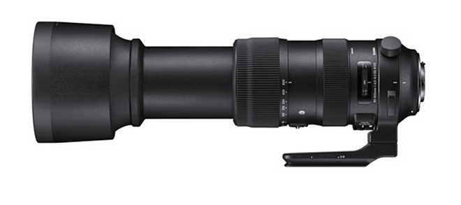 6 Lowest Priced Sigma 60-600mm f/4.5-6.3 DG OS HSM Sports