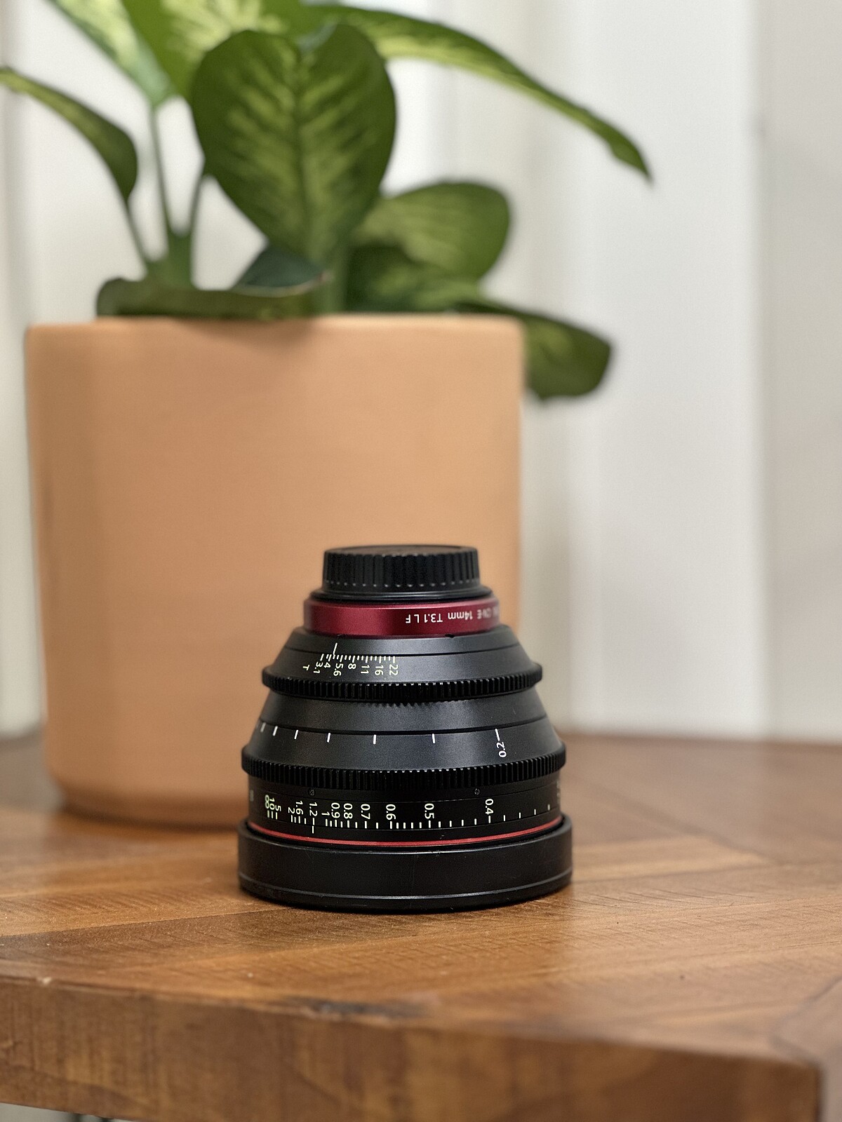 Rent a Canon CN-E 14mm T3.1 L F Cinema Prime Lens, Best Prices
