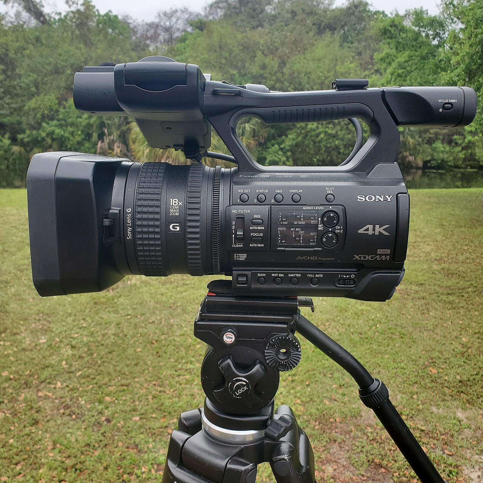すみれ アメリカハナズオウ 他1点 Rent a Sony PXW-Z150 4K XDCAM Camcorder, Best Prices | ShareGrid