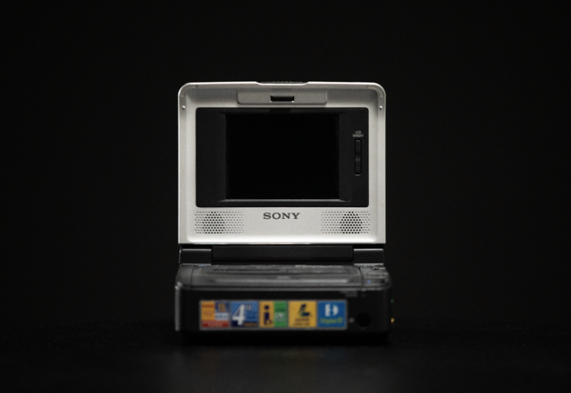 Rent a Sony Video Walkman GV-D800 (Digital8), Best Prices