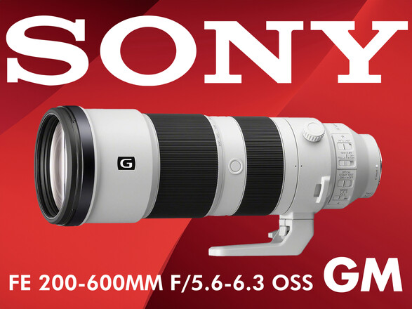 Rent a Sony FE 200-600mm f/5.6-6.3 G OSS E-Mount Lens w/ Carrying