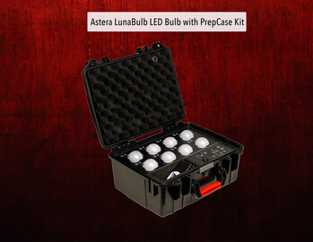 8 Lowest Priced Astera Luna Bulb For Rent