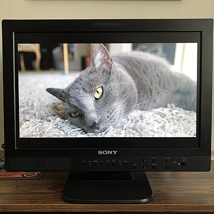 Rent a Director Monitor - 20” Sony LMD-2030W, Best Prices