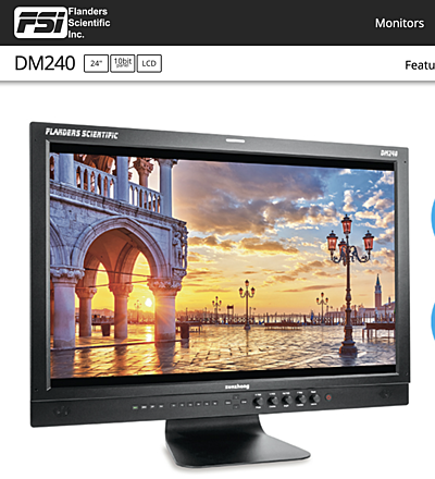 For Sale: Flanders Scientific DM240 24 