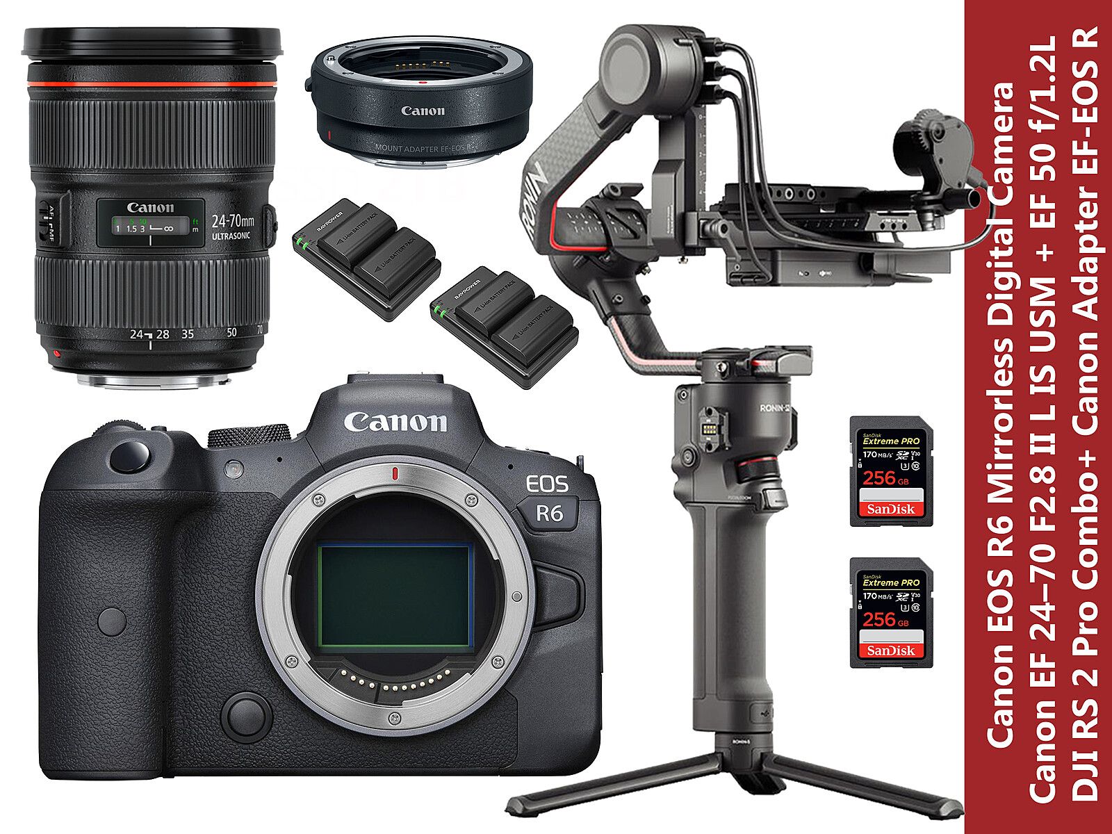 Rent a Canon EOS R6 + EF 24-70mm 2.8L II + DJI RS 2 Pro Combo Gimbal ...