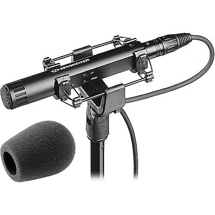 8 Lowest Priced Sennheiser MKH 50 P48 Microphone For Rent