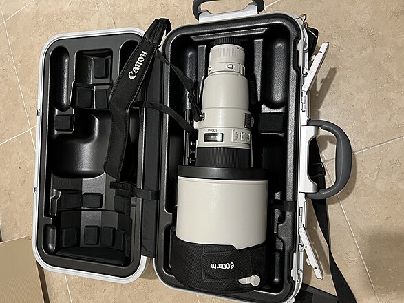 Rent a Canon EF 600mm f/4 L IS II USM, Best Prices | ShareGrid New