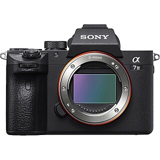 Rent a Sony A7iii w/Sigma 24, Tamron 28-75, RSC2 Gimbal, Best
