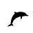Black Dolphin Creative LLC