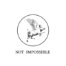 Not Impossible Productions